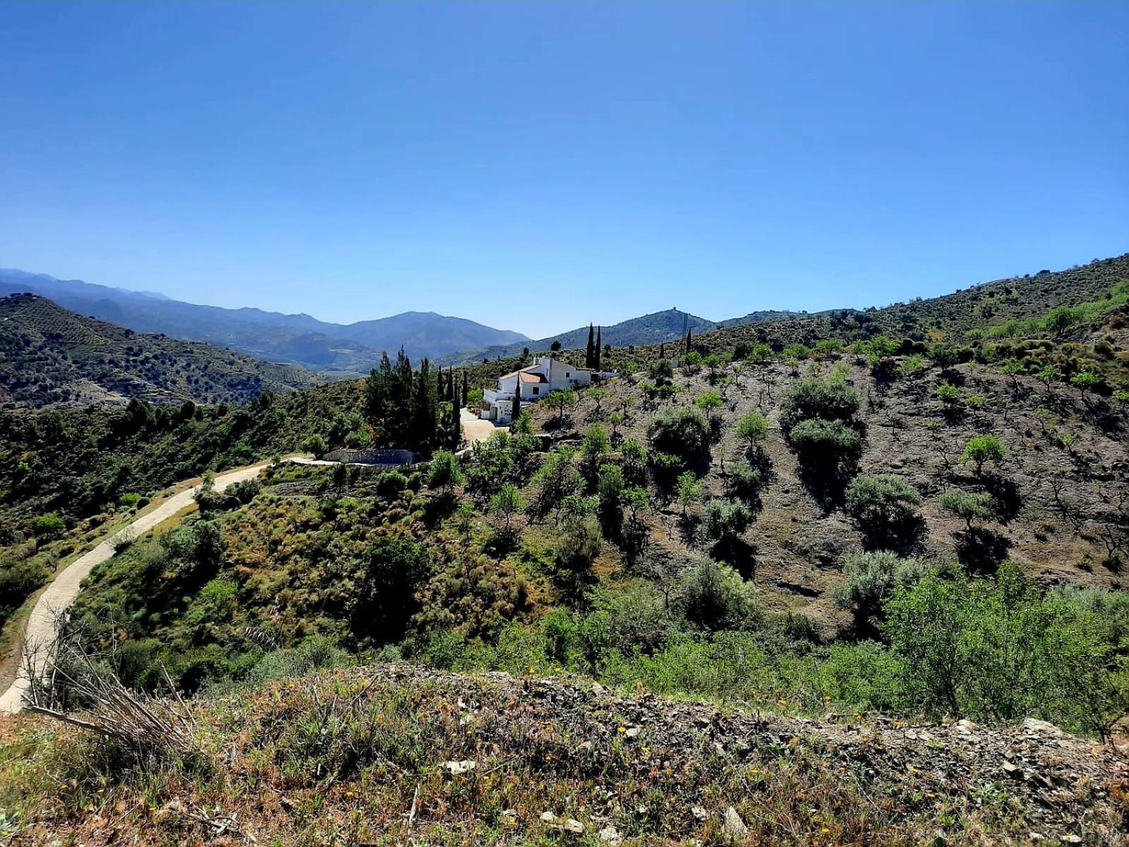Casa Amani Bed & Breakfast Vinuela Luaran gambar