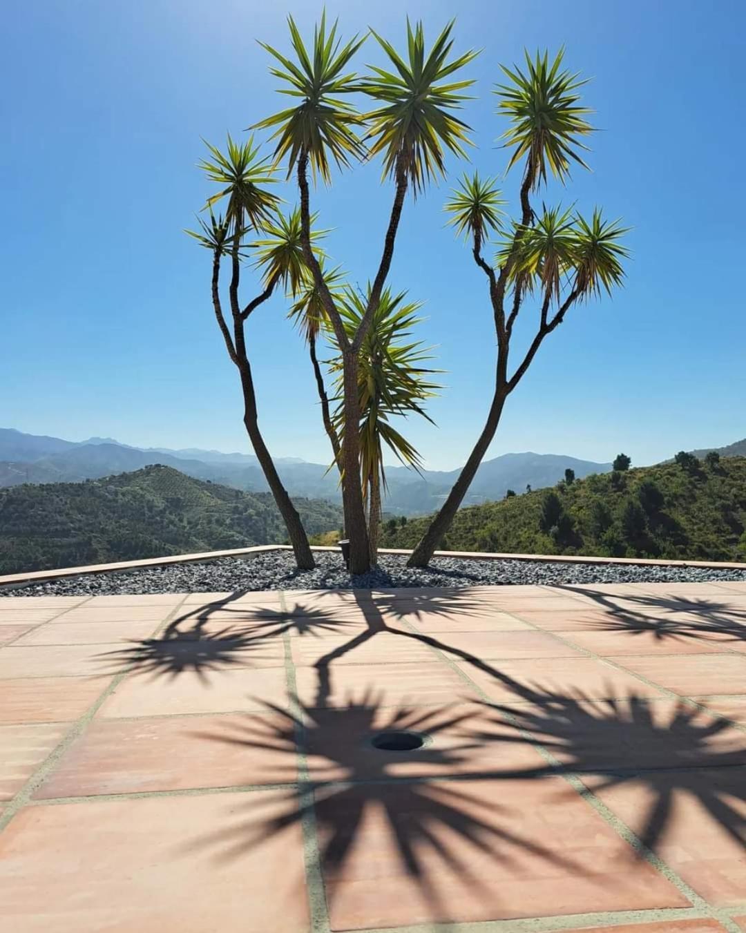 Casa Amani Bed & Breakfast Vinuela Luaran gambar